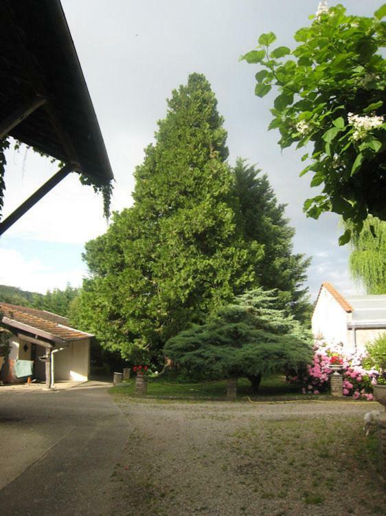Villa Dufresne Beynost Bagian luar foto